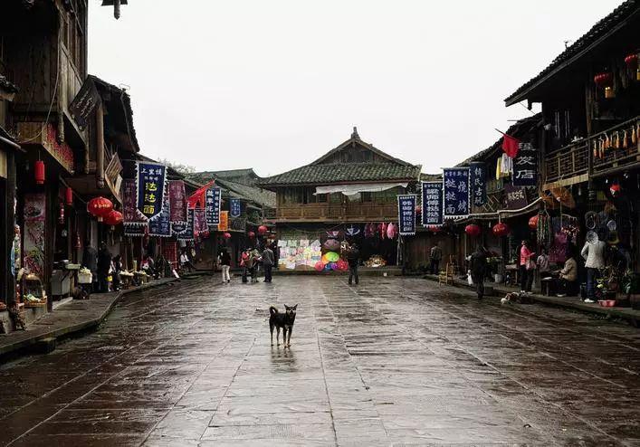召开资金业务分析暨债券投资策略会